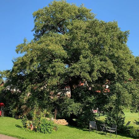 Ferienwohnung Am Rennsteig Bei Eisenach - Ilona Schmidt Wolfsburg-Unkeroda ภายนอก รูปภาพ
